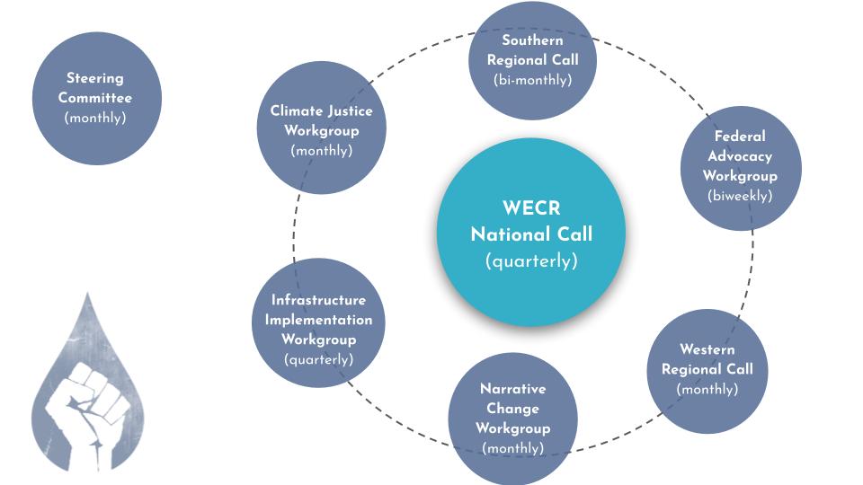 Chart displaying monthly and quarterly WECR workgroup calls.